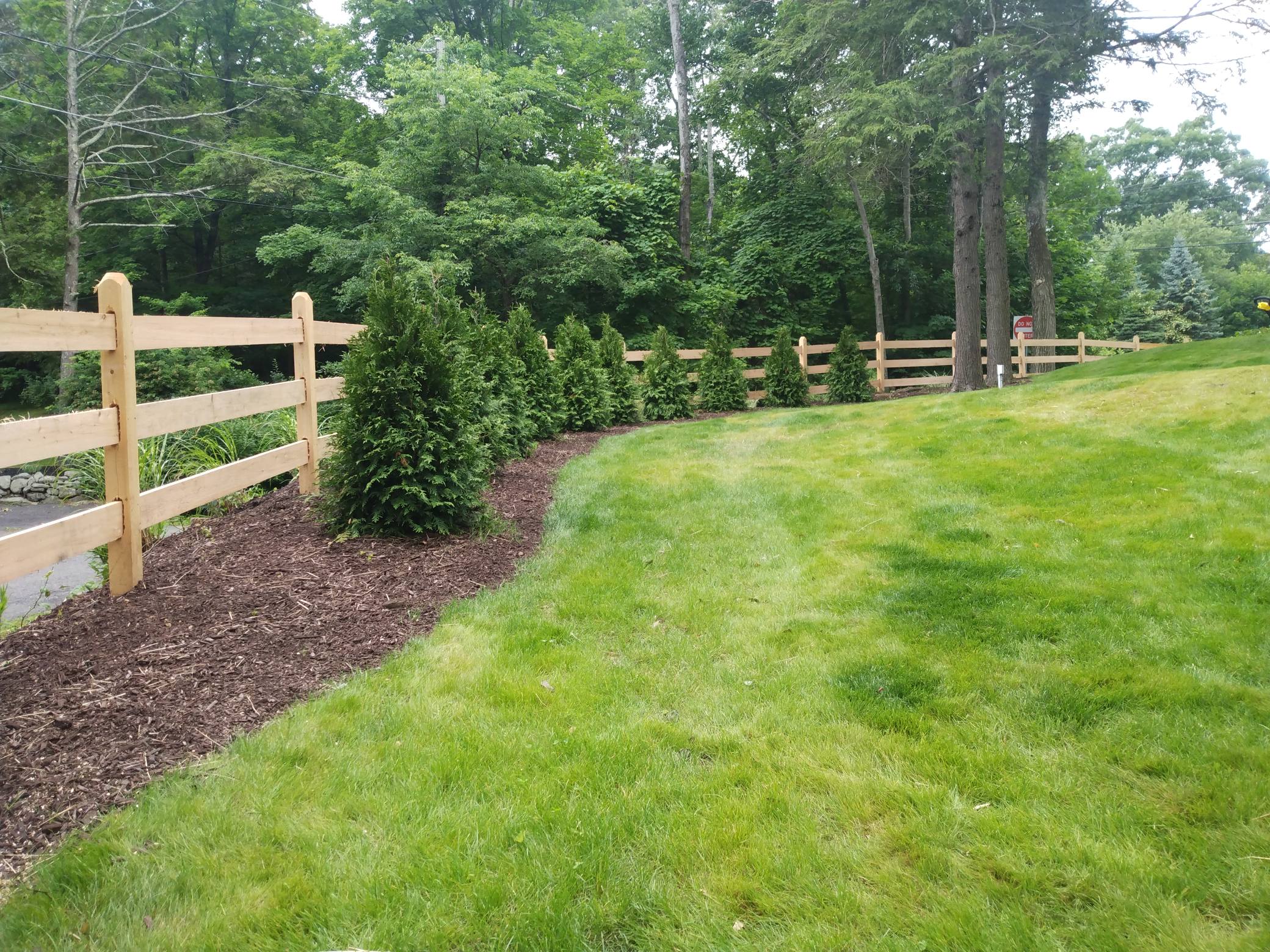 Fence and landscaping