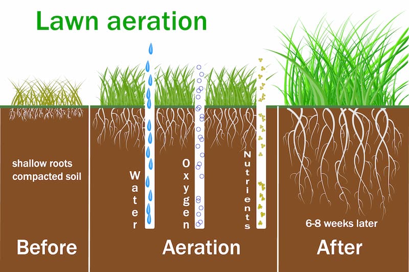 Lawn aeration