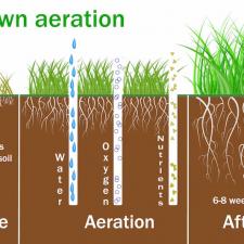 Lawn Aeration