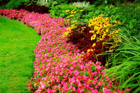 planting bed and weed control