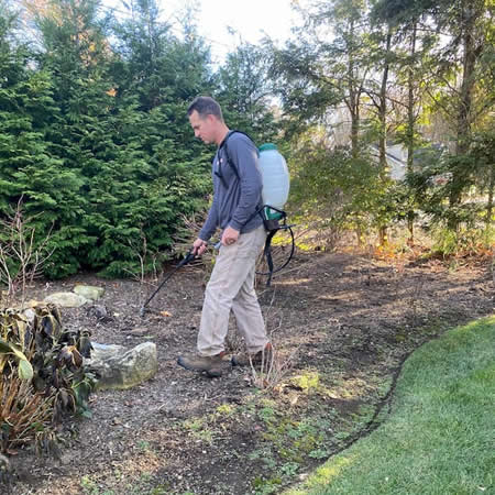 Targeted weed control treatment near greenwood lake in warwick ny