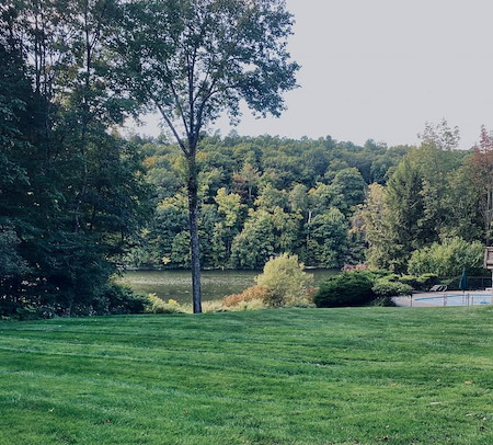 Why lawn fertilization and lawn care work better together