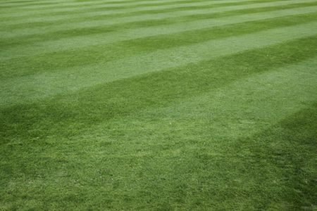 Vernon landscaping company
